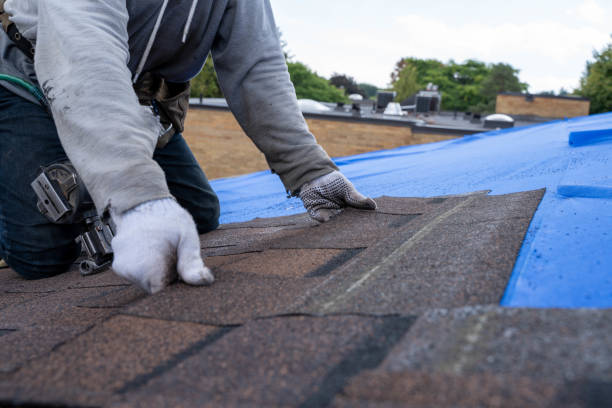 Professional Roofing services in Thorndale, PA